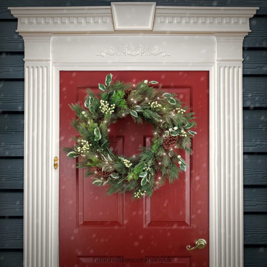 Greenery | National Tree Company 28\ HGTV Home Collection Pre-Lit Holly and Berry Wreath F2L4F277